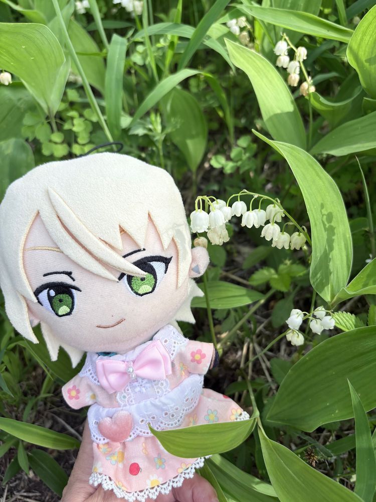 マヨちゃん
