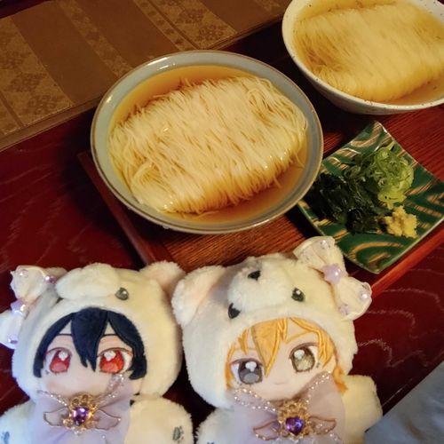 ちょっと軽くお出かけ🎵
昨日のお昼ごはんは食べ比べセット〜😋
💜食べ比べでよい食感を味わえたぞい🎵
💛麺に合わせてつゆの味も違った気がするよ！