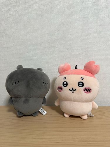 なんとなんとぽてたま古本屋さんが仲間入り〜💫