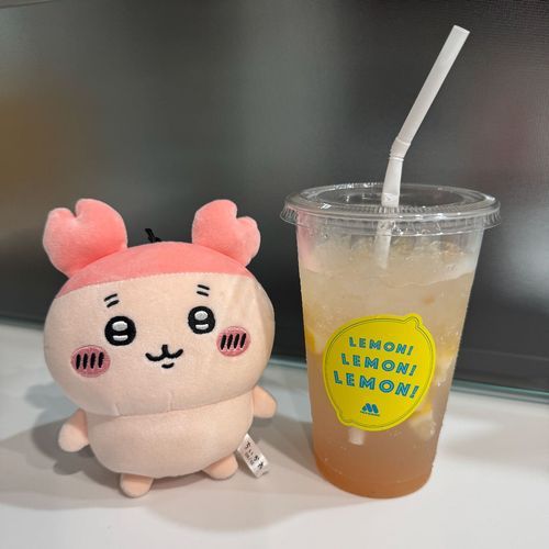 レモンがゴロゴロっと入っててビックリだね🍋
