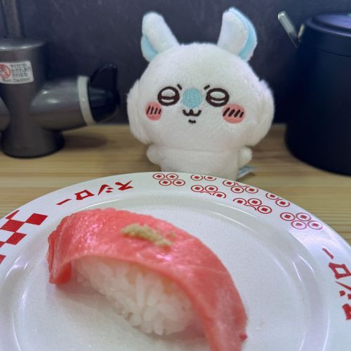 大トロッ…じゅるり