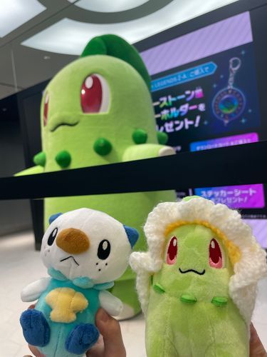 チコちゃんに会った💚