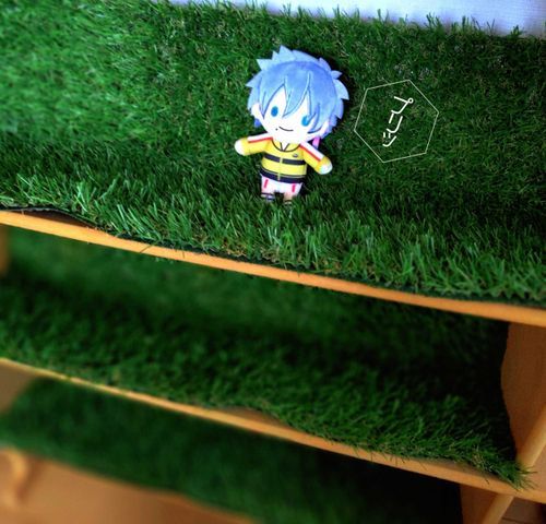 緑のある暮らし