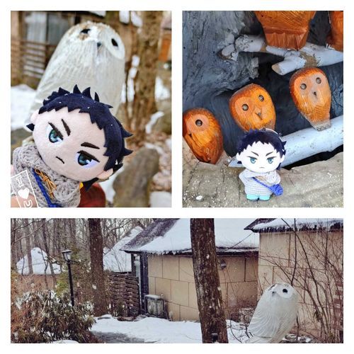 おもいで…
🦉とあかーし