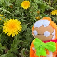 とある星の子