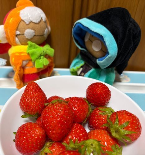 このいちごはちいさくてたべやすかったよ！

とってもあまかった！