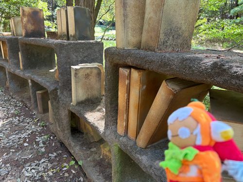 これは昨日行った公園の写真！

この本は読めそうで読めないね…