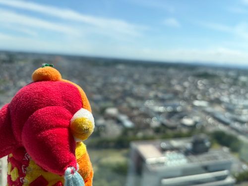 わぁ！いい景色だねー！