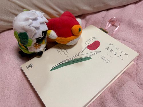 今日は本読んでからねるよ〜💤