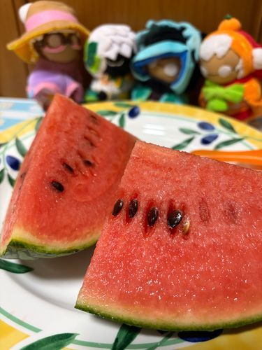 わぁ！美味しそうなスイカだね！