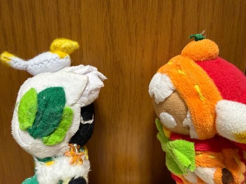 え！？頭に鳥さんが住み着いたの！？