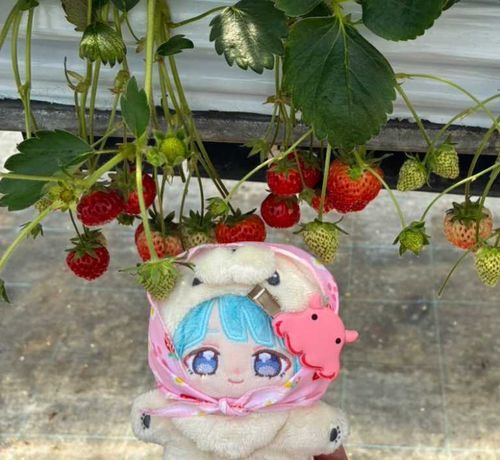 いちごがりにいったひのおしゃしんです♪