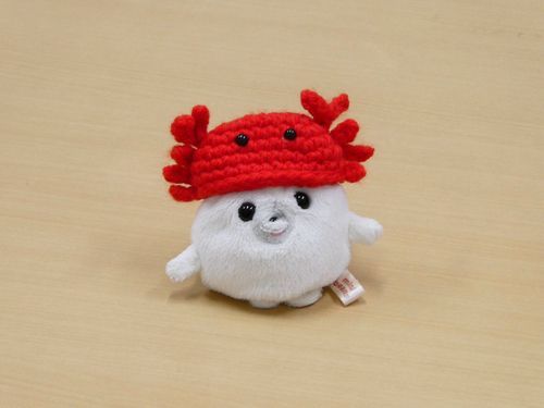 あたらし ｺﾝﾃﾞｼﾞ かったんだって
2ごうが ﾓﾃﾞﾙさん してたよ