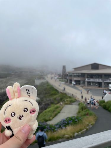 大涌谷に行ってきたよ🐰
硫黄の匂い凄かったね