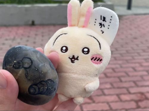 黒たまご🥚
普通にゆで卵で美味しかったね