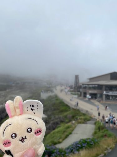 大涌谷に行ってきたよ
硫黄の匂いすごかったね