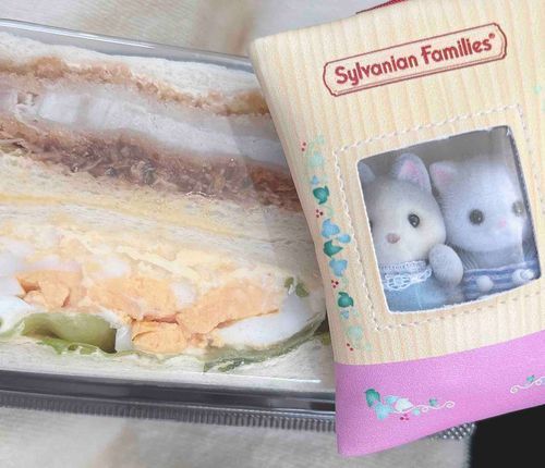 ライアンお着替えしました。
カツサンドはごほうびです🍽´-