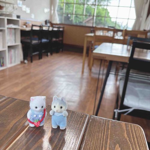 可愛い雑貨を売ってるカフェ。
ランチもしてたからおじゃましたよ🍽
ぷくぷくの多肉植物がお店の窓辺や玄関にたくさんいて可愛いかったよ。