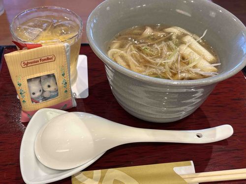 鴨なんばんうどんだよ🦆
おいしくてぺろり。
足りなくてコンビニ行ったのはないしょ。
