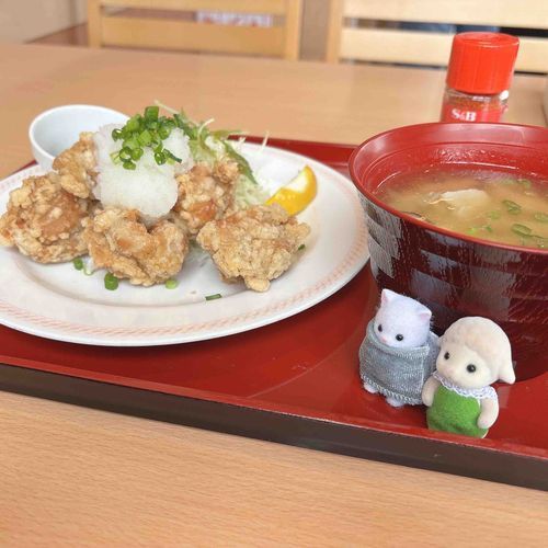 ニューフェイスのエマさんと。
からあげに豚汁という肉肉してる組み合わせとともに。
お野菜も食べるよ。晩ご飯で調整。