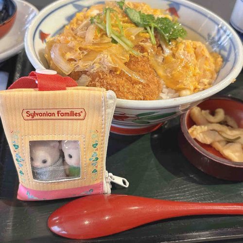 がっつりいくぜ！
とんかつ大きくておいしかった〜🐷