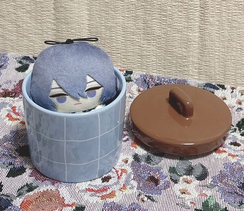 綿棒を入れようと思って買ったのに入らなかったらしい。