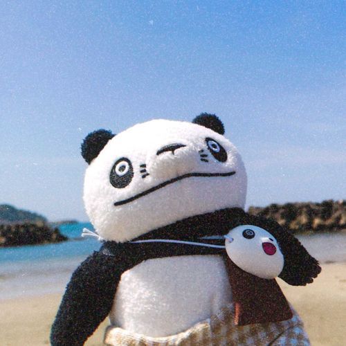 初投稿🐼
夏は暑いけれど、海に行きたくなる