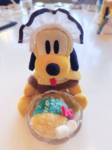 -  ̫ -♡︎ᵎᵎᵎ