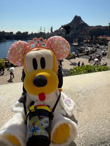 ディズニーシーみえた-  ̫ -