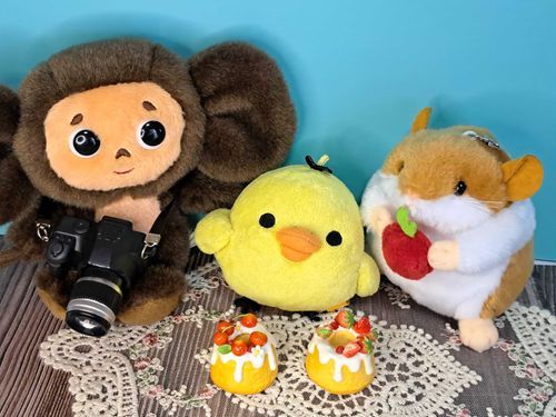С(´｡◕ᴗ ◕｡`)Э
キイロイトリくんが遊びに来てくれました☺️
あるじさんが今日お誕生日なんだって🎂
おめでとー♡