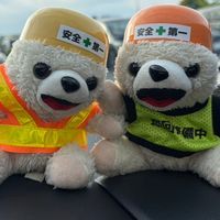現場ファーファ