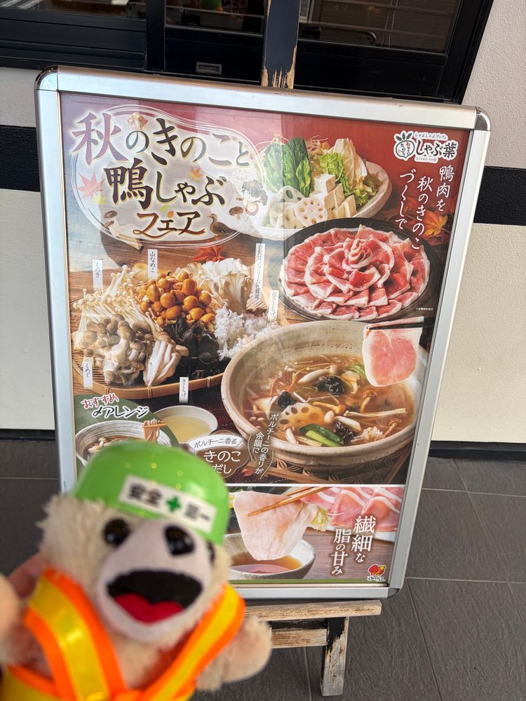 本日のしゃぶ葉はゴジラコラボと、🦆鴨しゃぶ&きのこ🍄‍🟫ヨシ❗️
