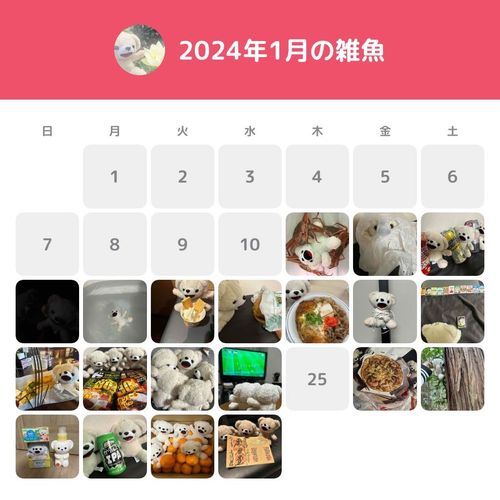 最新アップデートのカレンダー機能で、昔の投稿が見やすくなったよ〜♪
懐かしい思い出がいっぱいだ〜✨
でもこれ自分のしか見られないみたい…❓