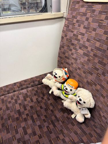 さて、コットランドに帰ろうか…