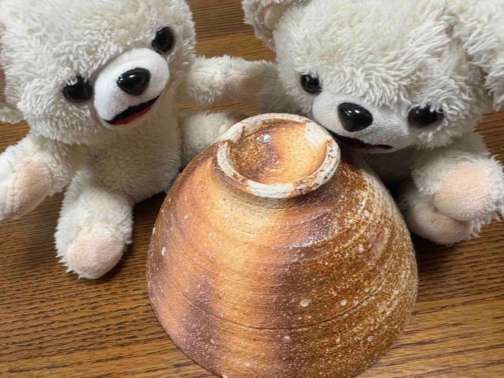 ちなみに載せるのを忘れてたけど、この前ぼくが陶芸の作家市で買ったお茶碗だよー
穴窯で1週間くらい焼き続けたいい感じのお茶碗なんだ〜❗️
シンプルだけど見どころが多いんだー❗️