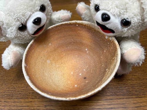 ちなみに載せるのを忘れてたけど、この前ぼくが陶芸の作家市で買ったお茶碗だよー
穴窯で1週間くらい焼き続けたいい感じのお茶碗なんだ〜❗️
シンプルだけど見どころが多いんだー❗️