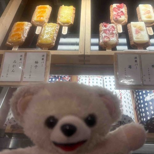 めちゃくちゃ高級な井村屋のあずきバーを買ってきちゃったよ❗️
食べるのがもったいないんだー❗️❗️