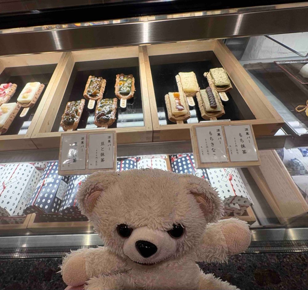 めちゃくちゃ高級な井村屋のあずきバーを買ってきちゃったよ❗️
食べるのがもったいないんだー❗️❗️