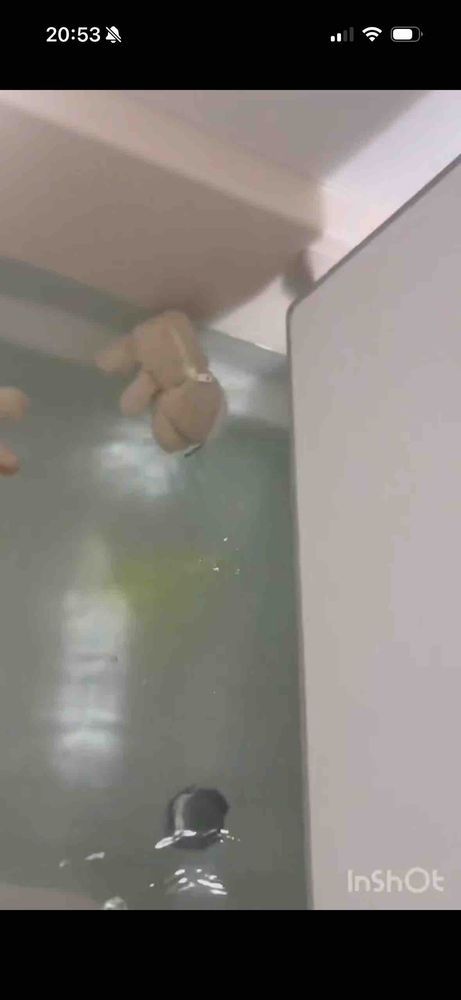 ぼく…お風呂に入れられちゃったんだ…
無理やり…