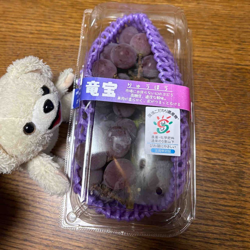 幻のブドウをもらったんだ〜♪