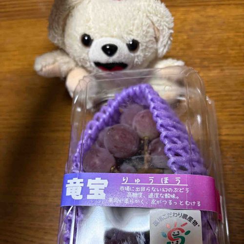 幻のブドウをもらったんだ〜♪