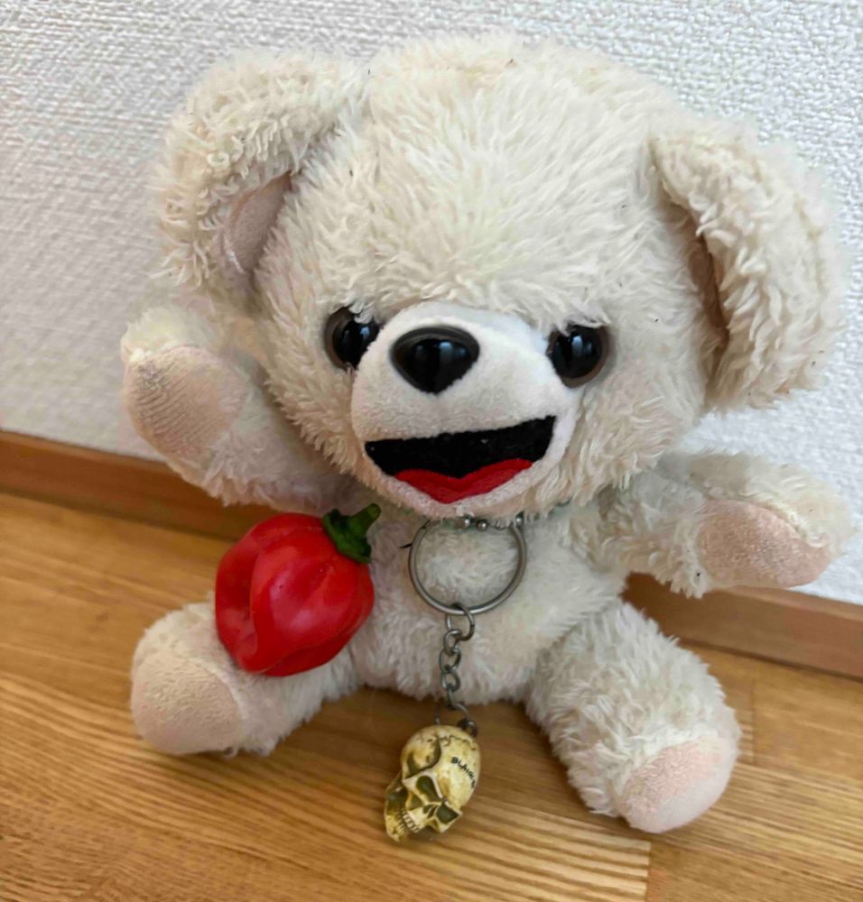 今日はついに激辛大本命のリーパーちゃんを収穫したよ❗️
食べるの楽しみだけど、あまりにもかわいくてついつい添い寝しちゃったんだー🌶️