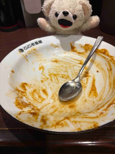 ファーファB (常に右手を誰よりも高く掲げている)「美味しかったー❗️完食だーーー❗️❗️🍛」

※ファーファは頭と味覚がバグっています
