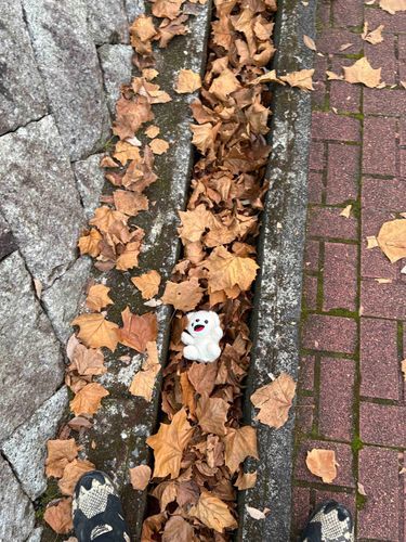 ふむ…