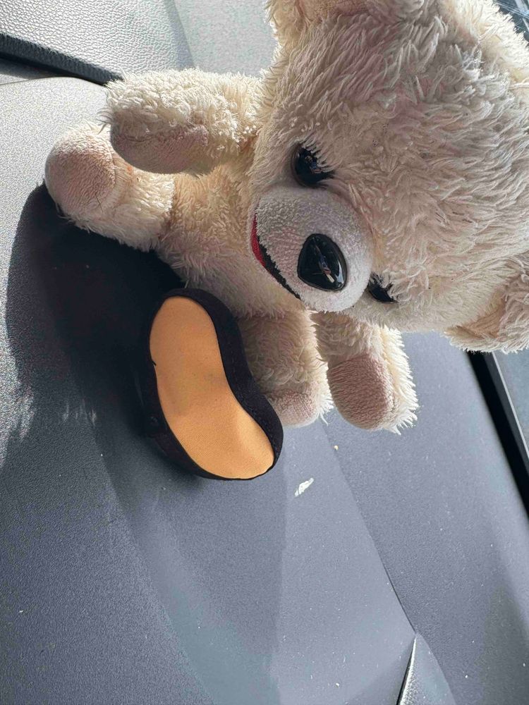 ぼくアイマスク買ってもらったんだ〜♪
でもサイズ小さめなんだ〜💢
目が痛いんだ〜‼️