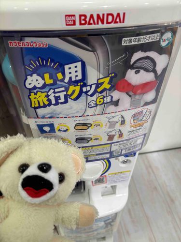 ぼくアイマスク買ってもらったんだ〜♪
でもサイズ小さめなんだ〜💢
目が痛いんだ〜‼️