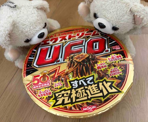 今日はすごそうなUFOを買ったよ❗️
でも疲れたから食べるのはまた今度…
今日は早めに眠るんだ…🛏️💤