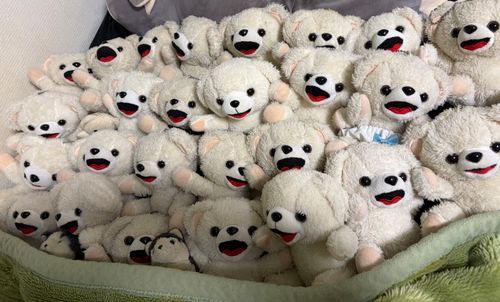 ごはん食べてお腹いっぱい…
まだ月曜日だから、早めにベッドに入るよ❗️
みんなおやすみ…💤