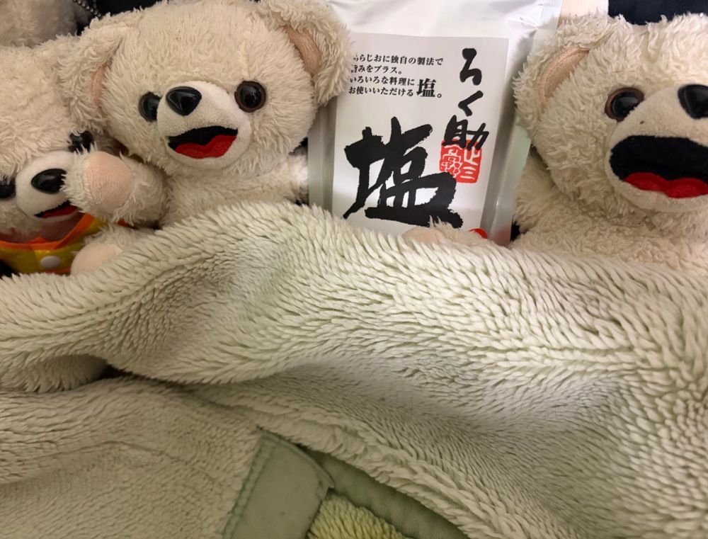 誕生日プレゼントで、うちの二足歩行から高級な塩をもらったんだ…❗️❗️
今夜は添い寝するんだ〜✨✨💤