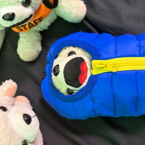 よくわからんけどヨシ❗️